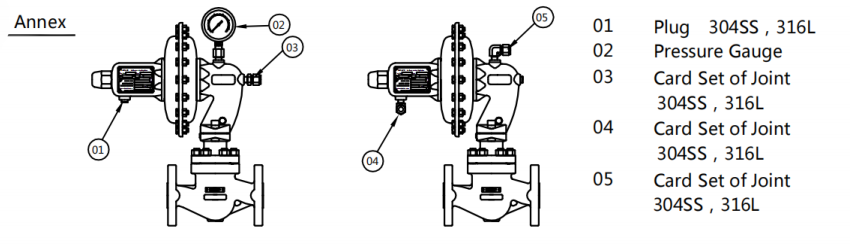 annex of SP 439 control valve