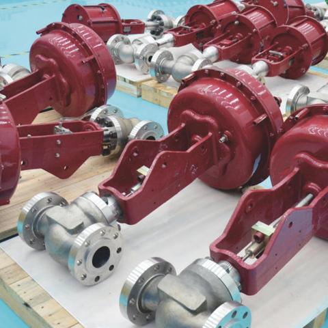 Oxygen regulating valve