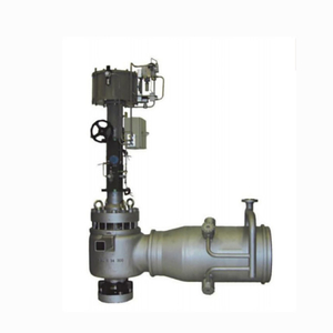 C9000DES Angle Type Temperature And Pressure Reducing Valve