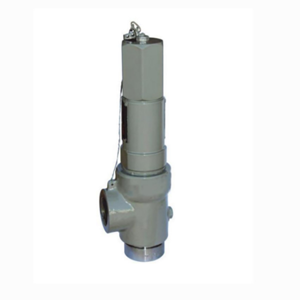 D5300 series safety valve