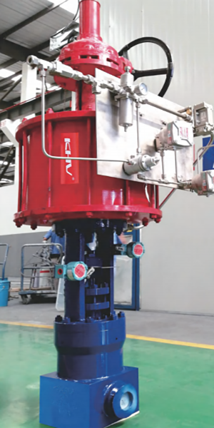 Pneumatic parallel double gate valve