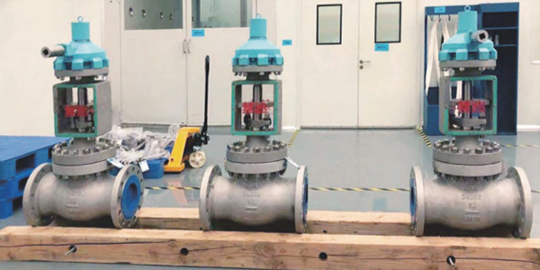 Oxygen Process Valve