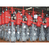 Pneumatic parallel double gate valve
