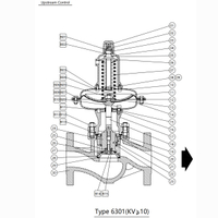 SP 6000 Self-Operated Cage Type Pressure Regulating Valve Manufacturer