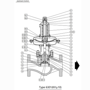 SP 6000 Self-Operated Cage Type Pressure Regulating Valve Manufacturer