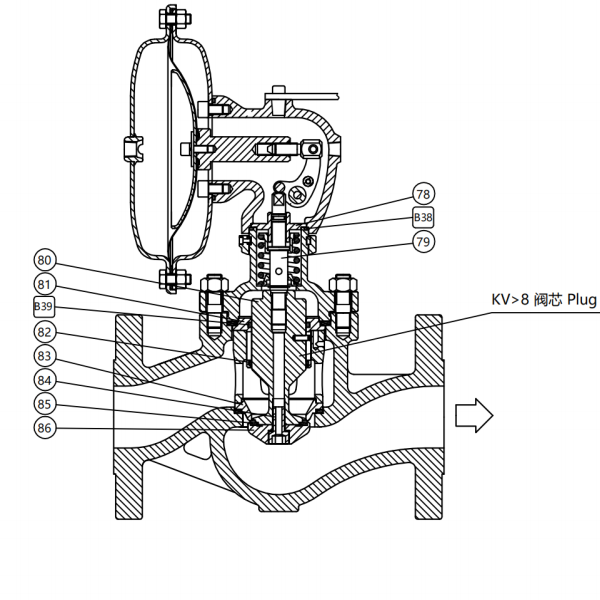 SP592 valve structure