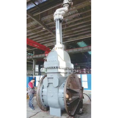 Large Diameter Valve for Petrochemical Process Equipment