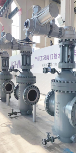 Wear resistant shear valve2